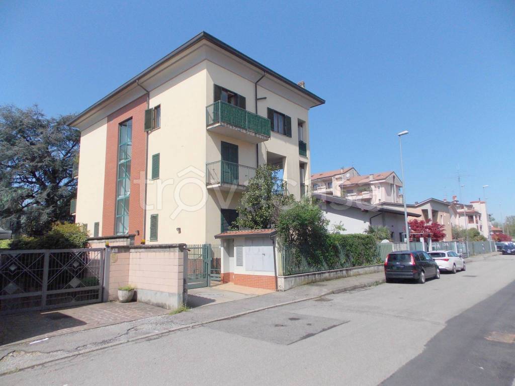 immagine annuncio 1 di 15