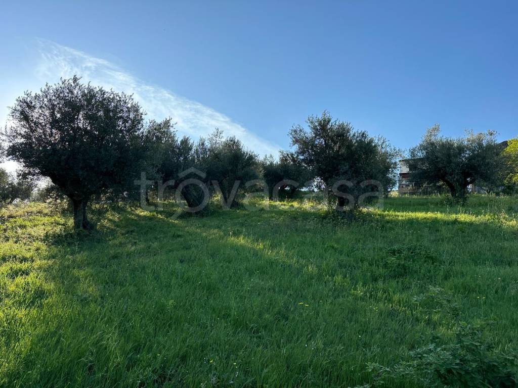 immagine annuncio 2 di 7
