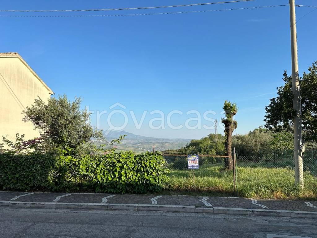 immagine annuncio 6 di 7