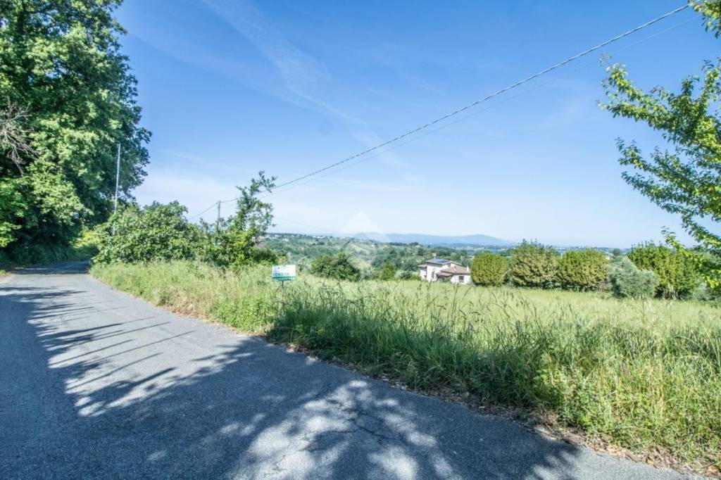 immagine annuncio 2 di 8