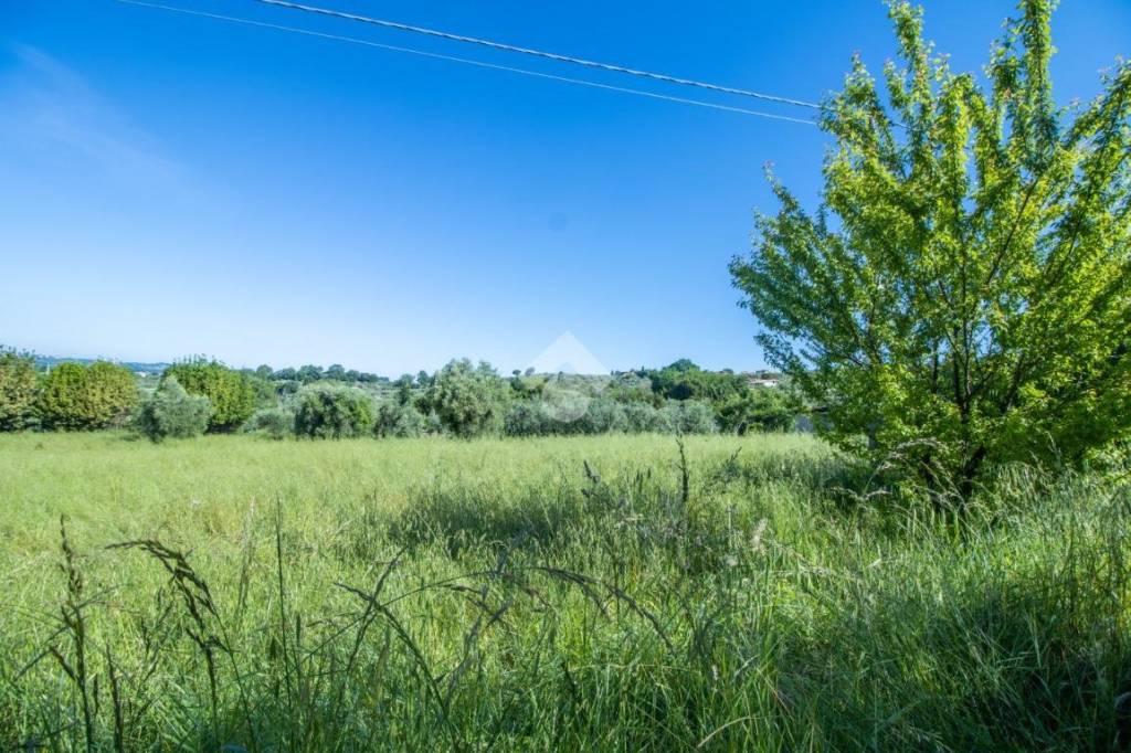 immagine annuncio 3 di 8