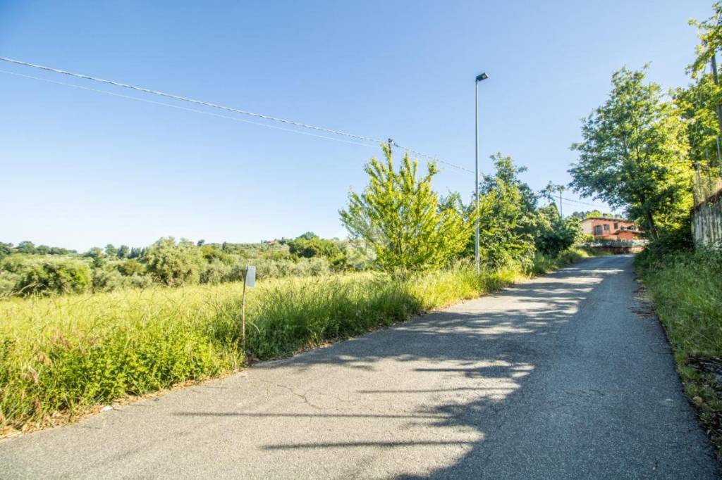 immagine annuncio 4 di 8