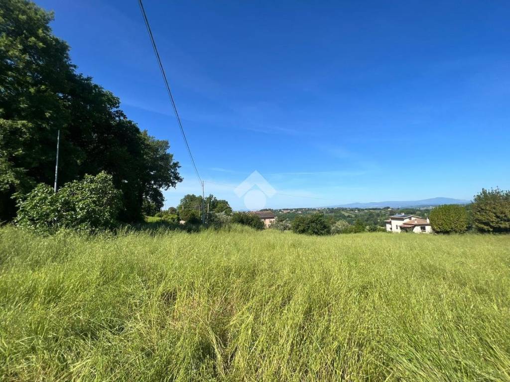 immagine annuncio 6 di 8