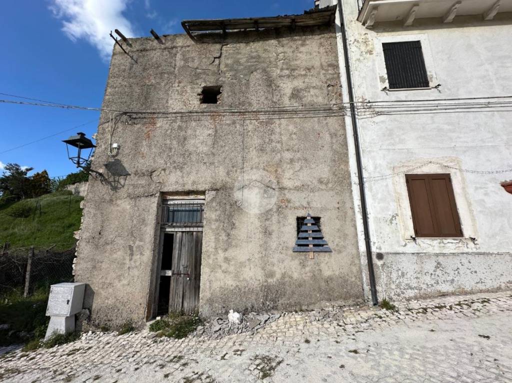 immagine annuncio 11 di 12