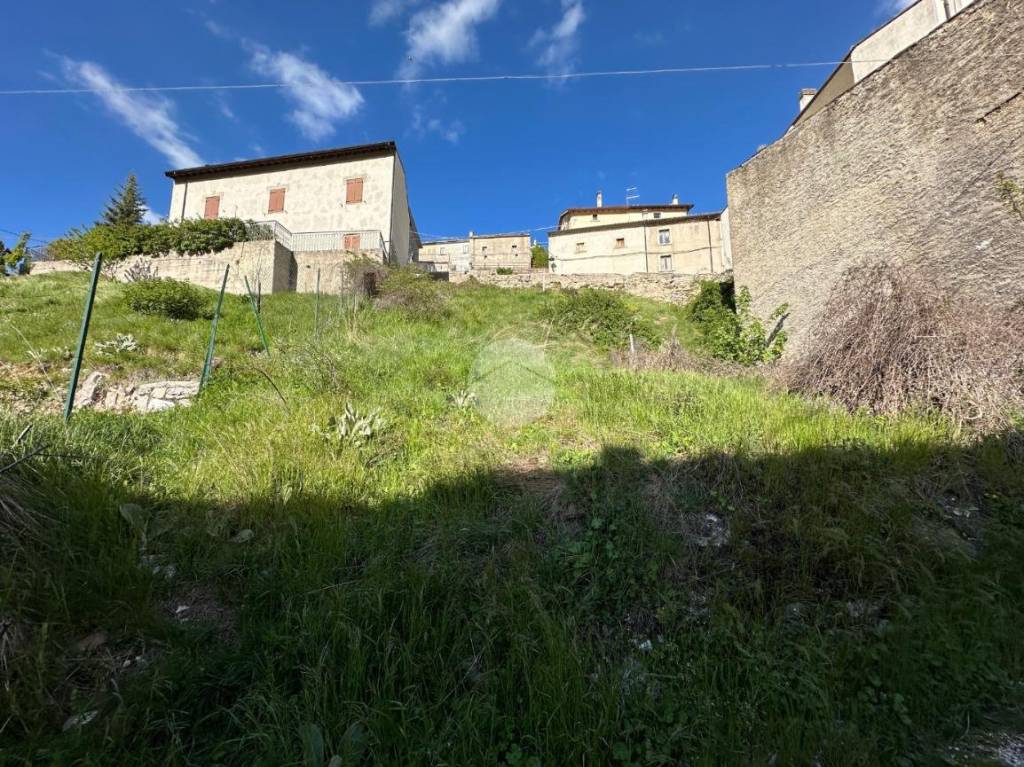 immagine annuncio 5 di 12