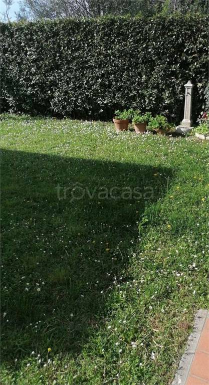 immagine annuncio 4 di 7