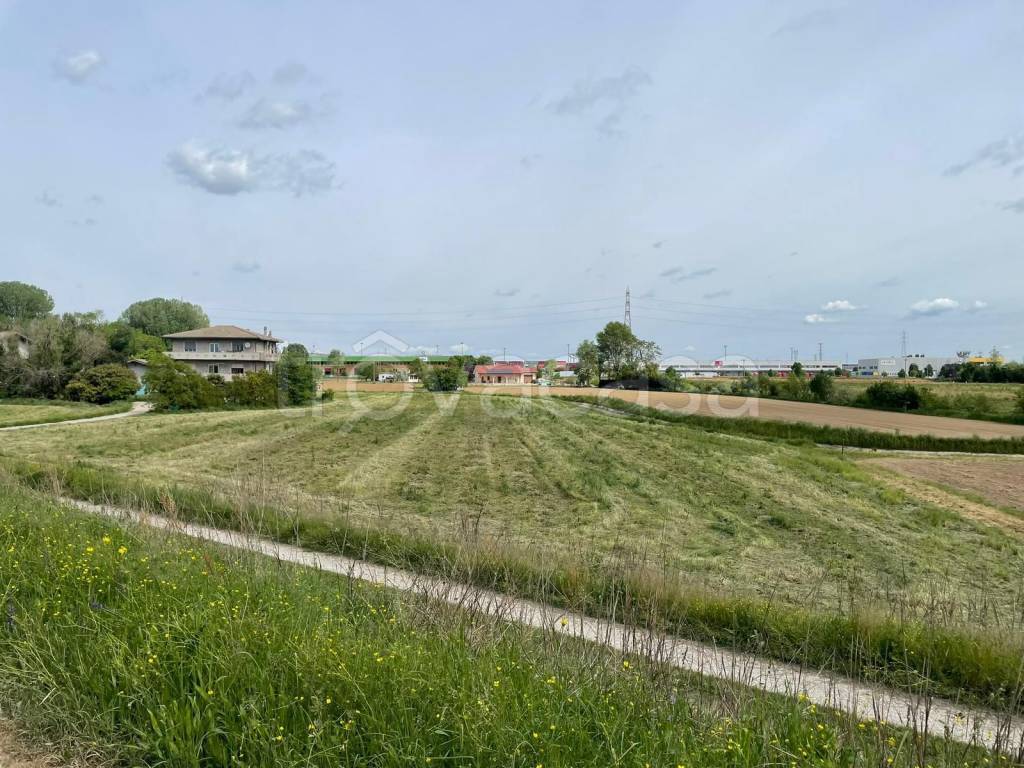immagine annuncio 6 di 13
