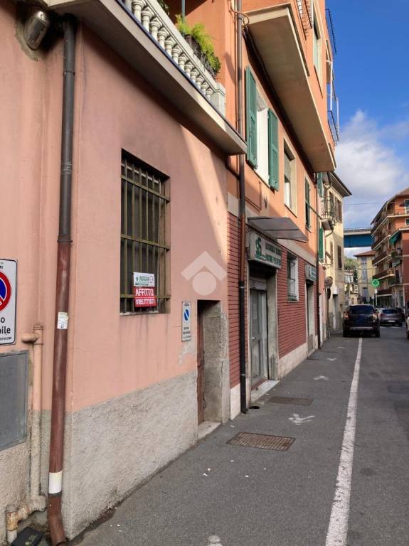 immagine annuncio 3 di 14