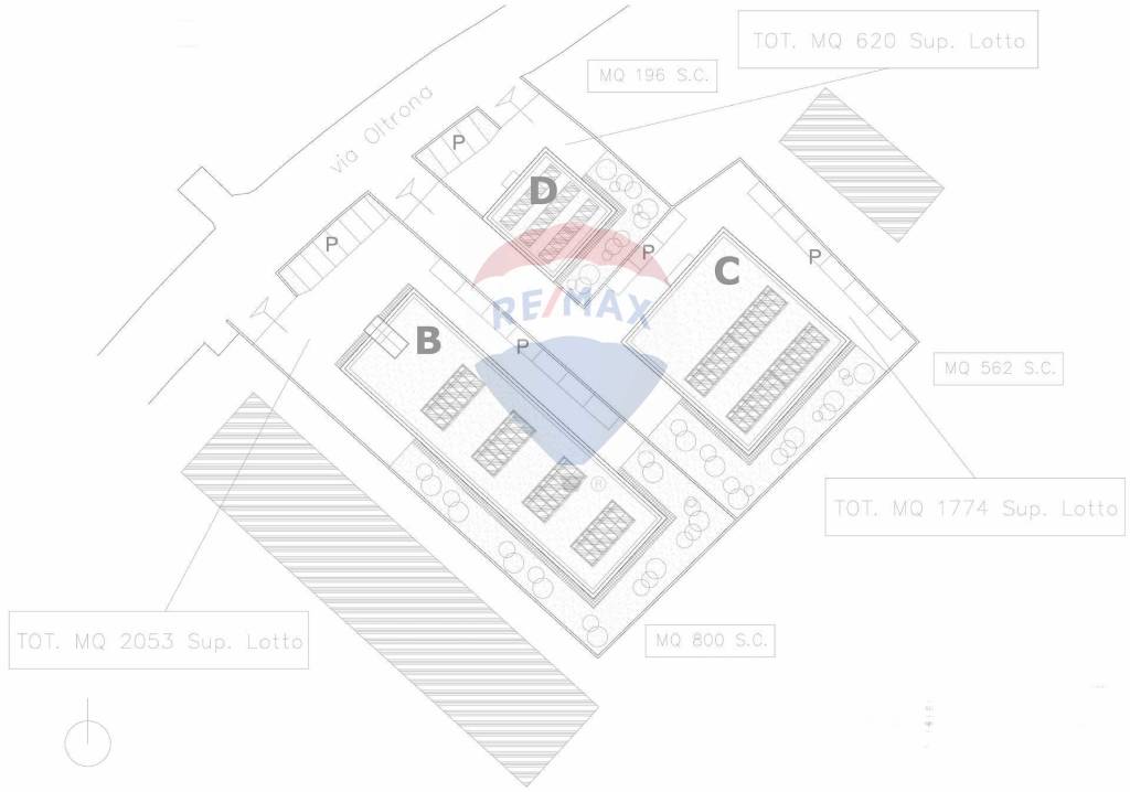 immagine annuncio 2 di 6