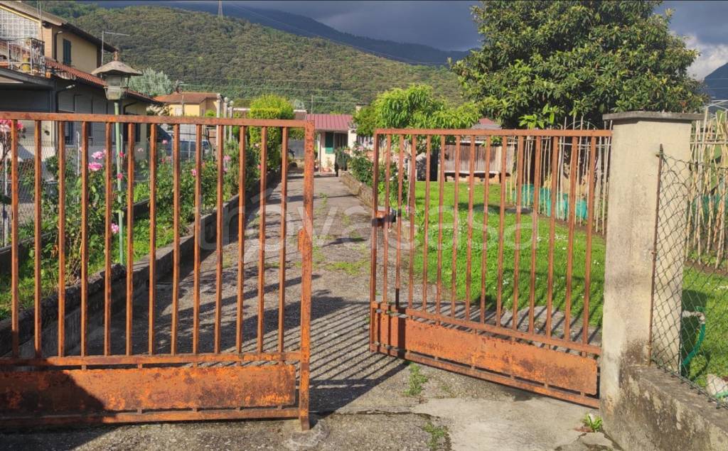 immagine annuncio 2 di 12