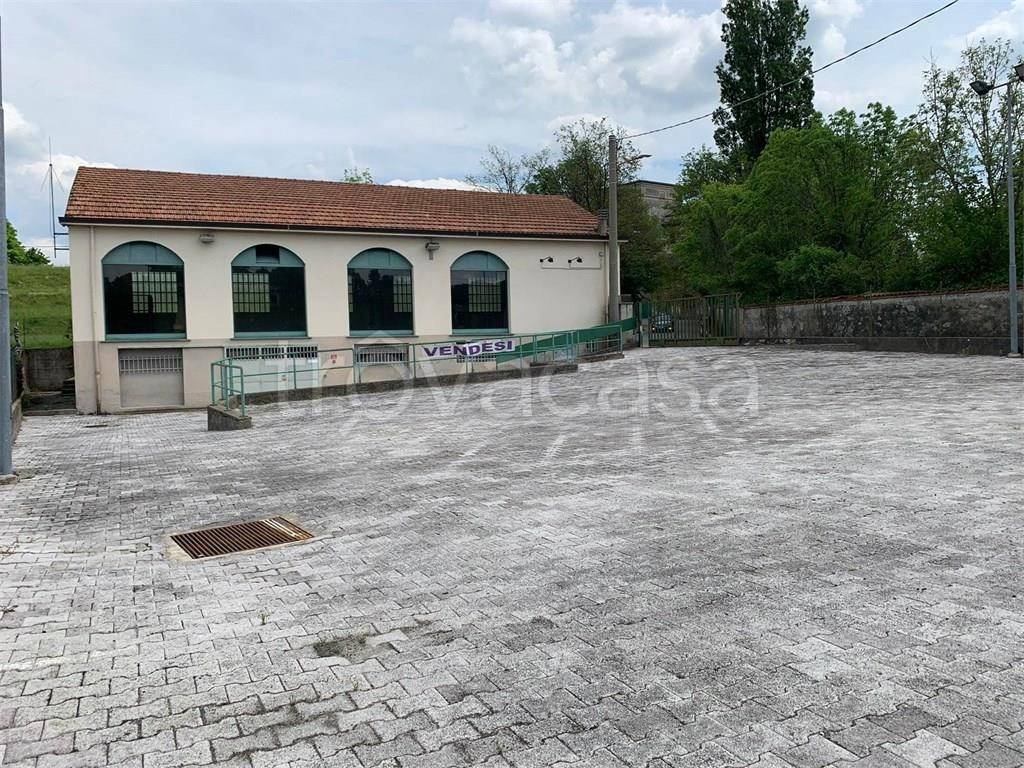 immagine annuncio 2 di 12