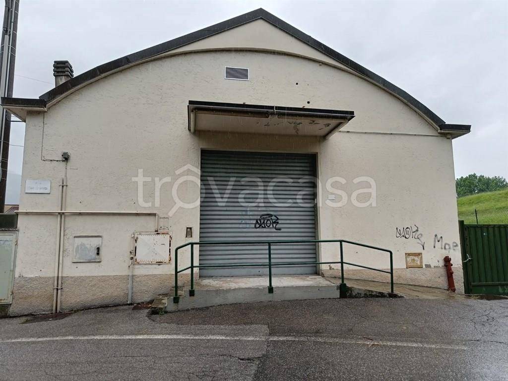 immagine annuncio 3 di 12