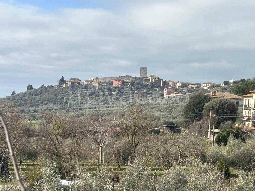 immagine annuncio 12 di 13