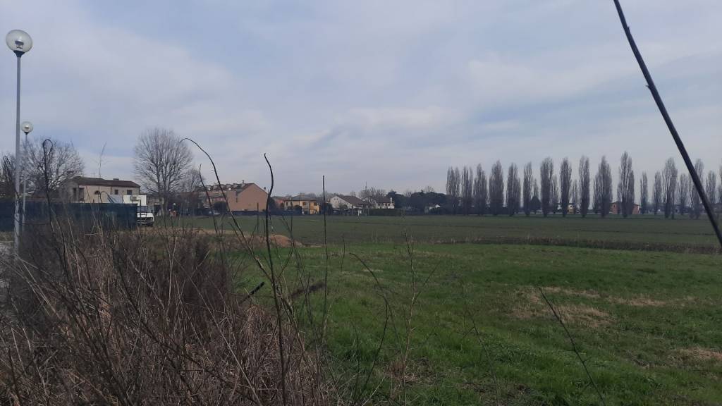 immagine annuncio 6 di 9
