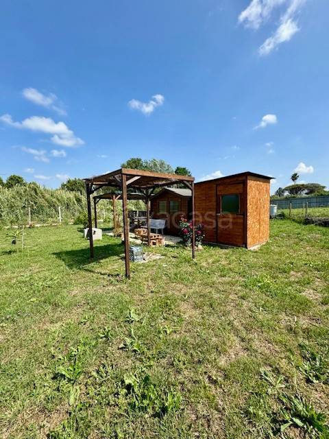 immagine annuncio 3 di 11
