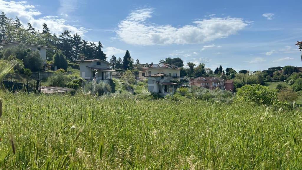 immagine annuncio 3 di 6