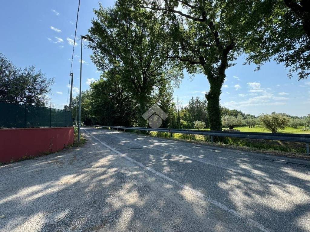 immagine annuncio 10 di 14
