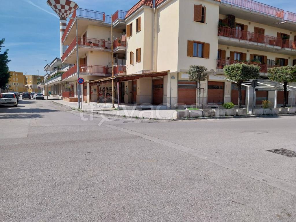 immagine annuncio 9 di 11