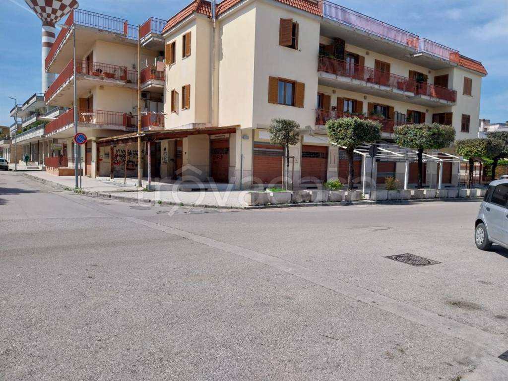 immagine annuncio 10 di 11