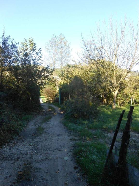 immagine annuncio 3 di 14