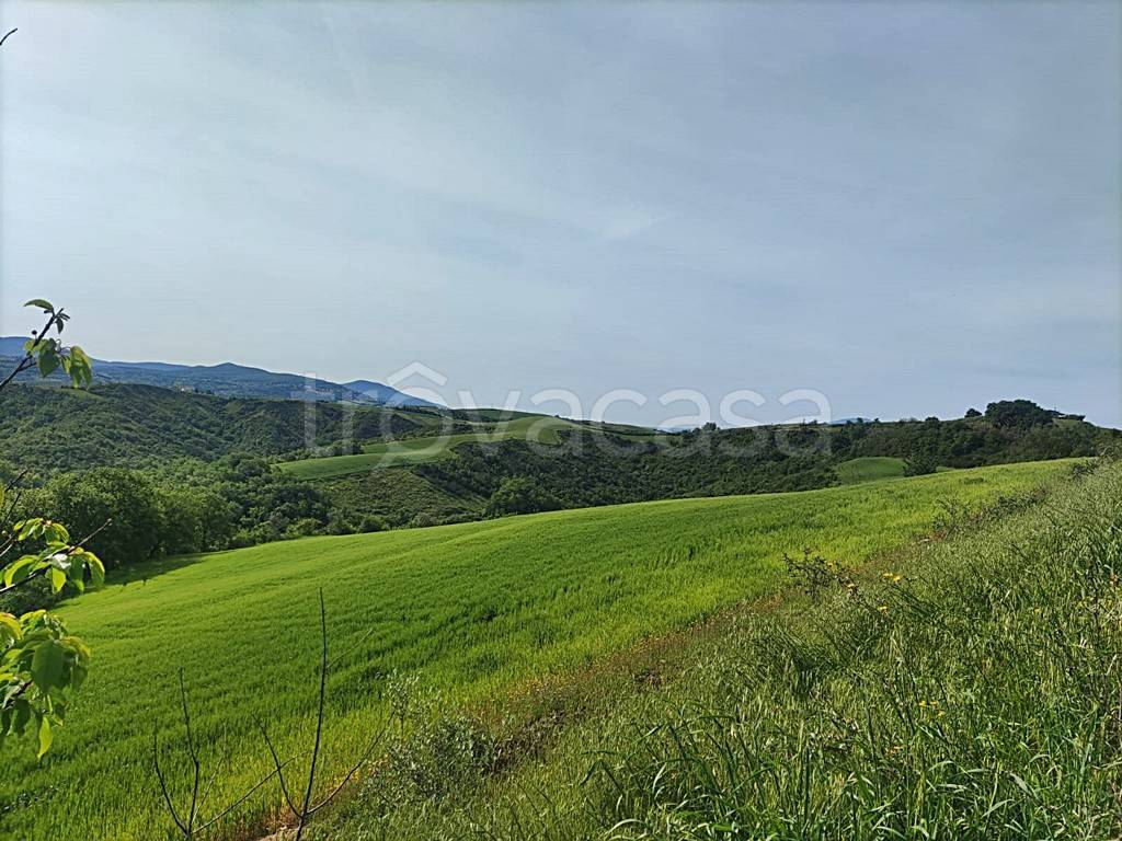 immagine annuncio 10 di 14