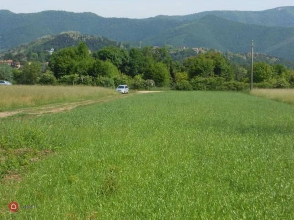 immagine annuncio 2 di 9