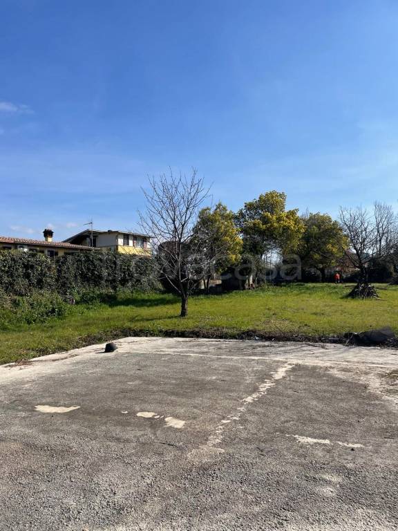 immagine annuncio 6 di 8