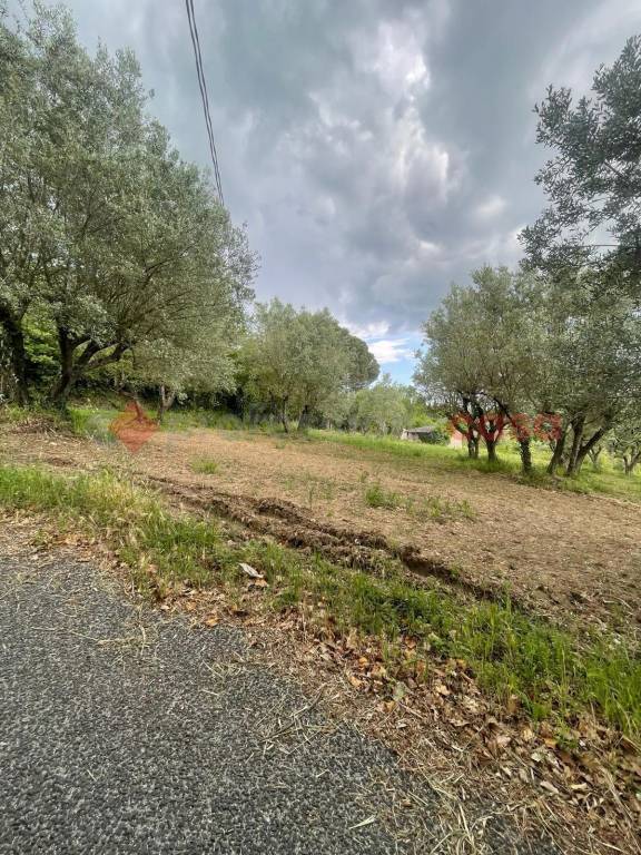 immagine annuncio 8 di 11