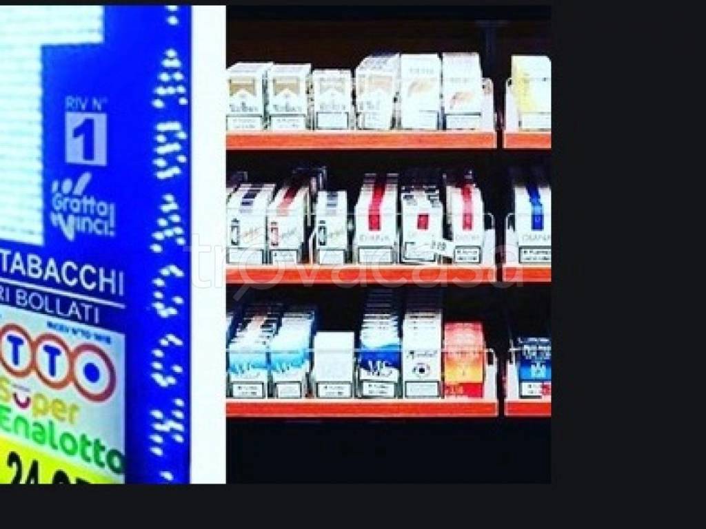 immagine annuncio 7 di 14