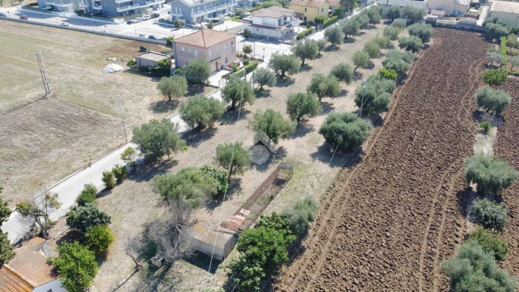 immagine annuncio 11 di 14