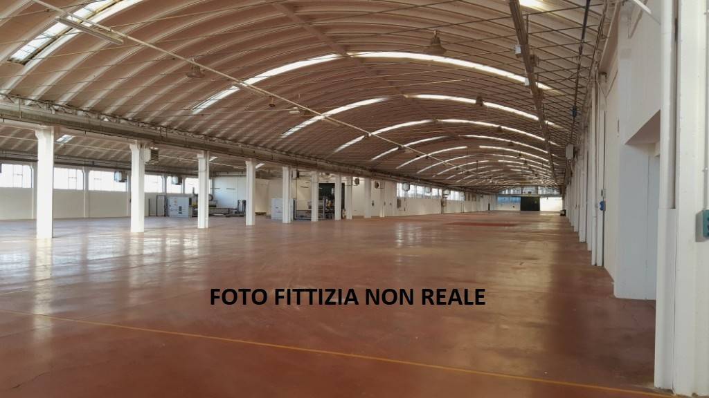 immagine annuncio 1 di 4