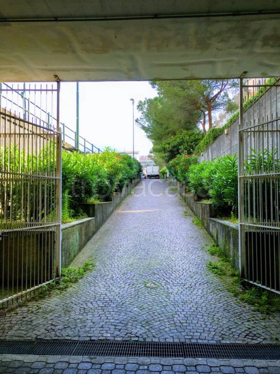 immagine annuncio 1 di 8