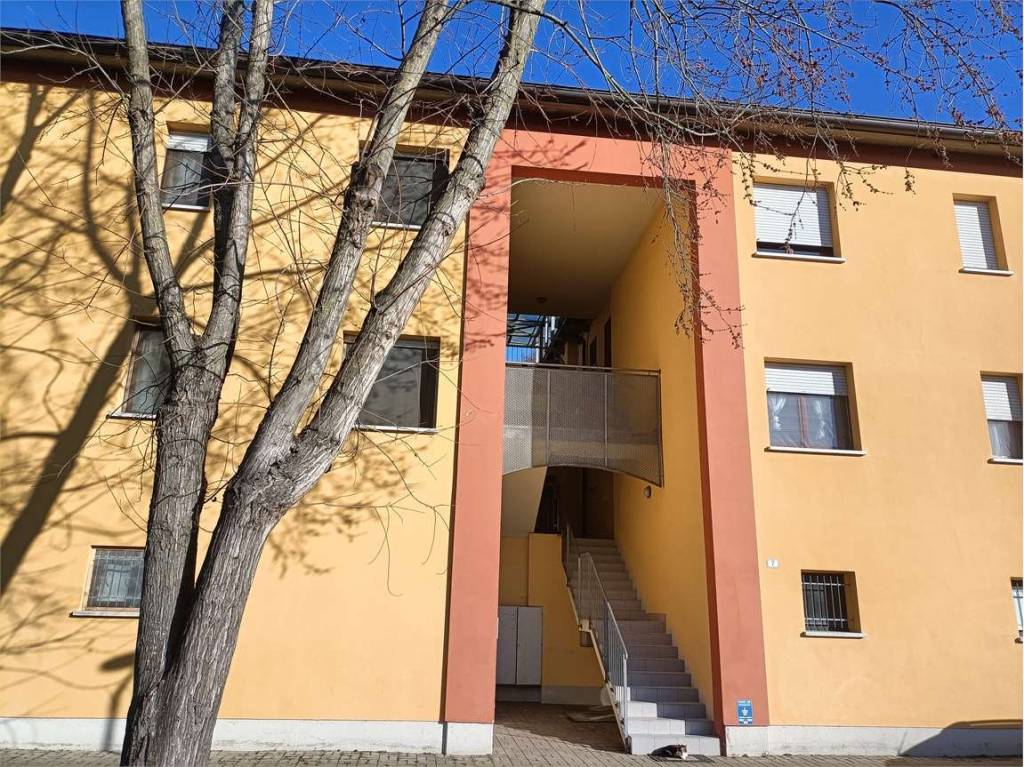 immagine annuncio 3 di 7