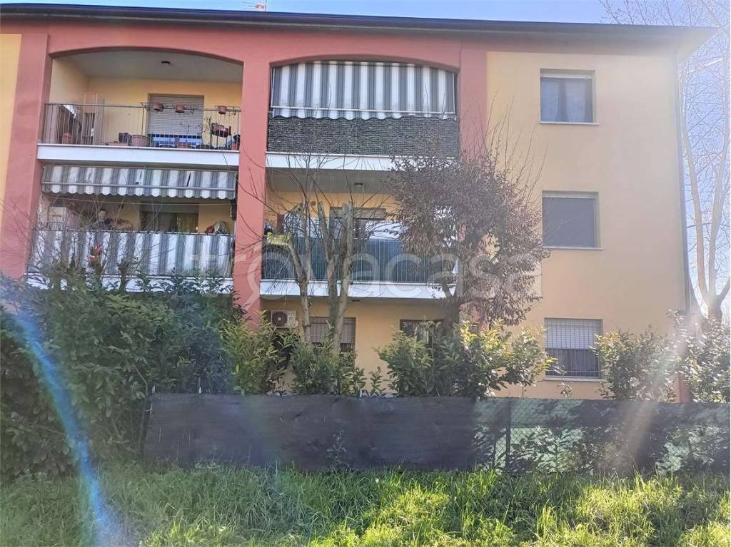 immagine annuncio 4 di 7
