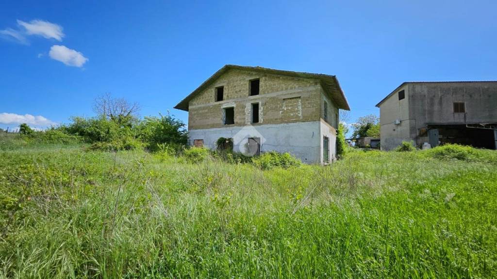 immagine annuncio 3 di 14