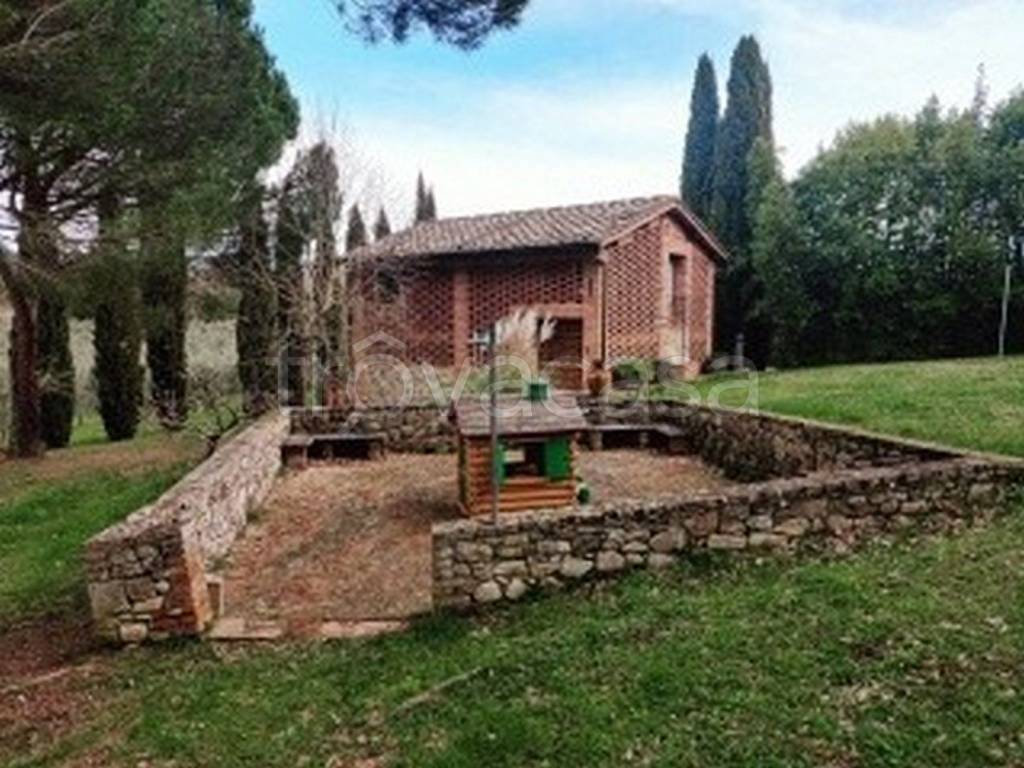 immagine annuncio 4 di 14