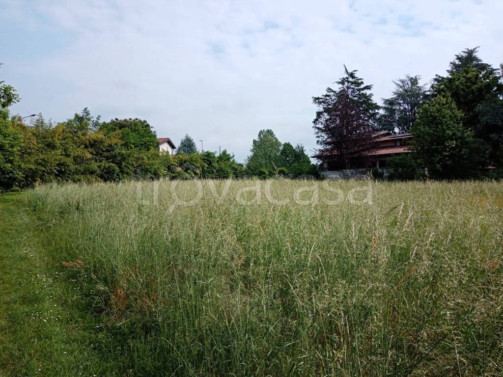 immagine annuncio 5 di 13