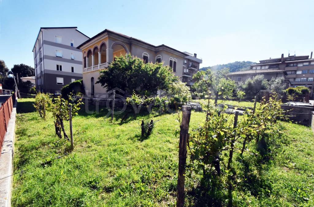 immagine annuncio 1 di 9