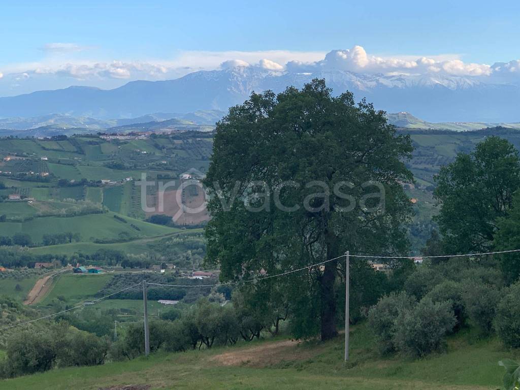 immagine annuncio 3 di 7