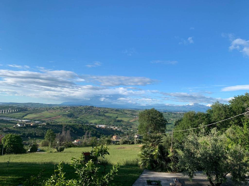 immagine annuncio 4 di 7