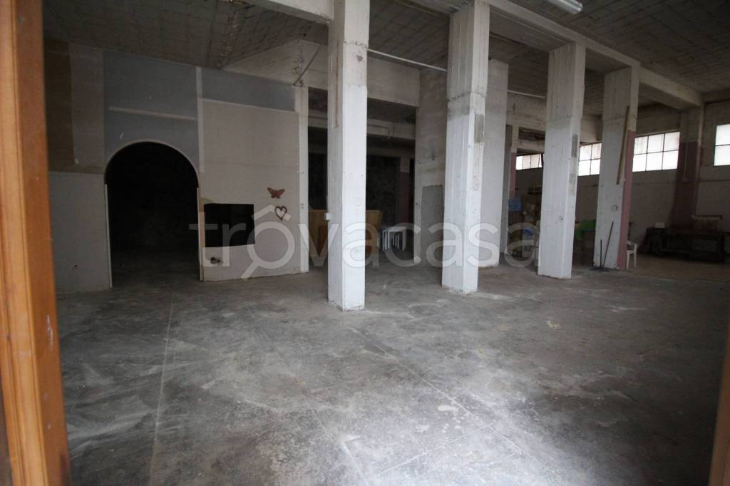 immagine annuncio 4 di 6