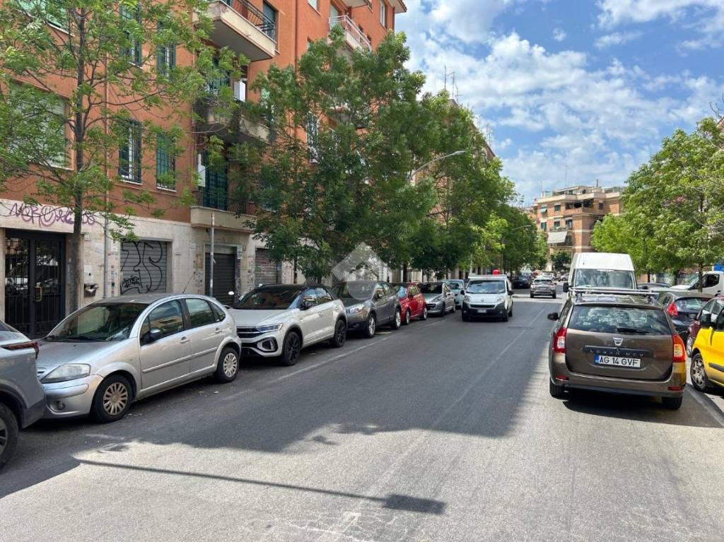 immagine annuncio 9 di 12