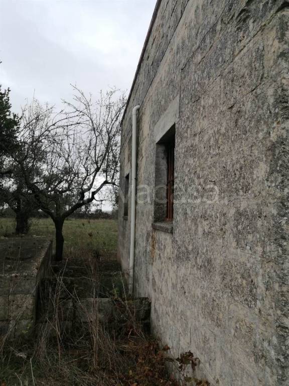 immagine annuncio 3 di 7