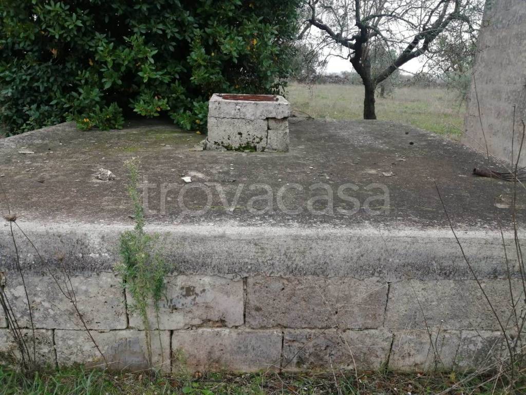 immagine annuncio 4 di 7