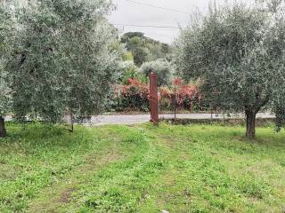 Terreno agricolo in affitto a grottaferrata via di campo vecchio, 34