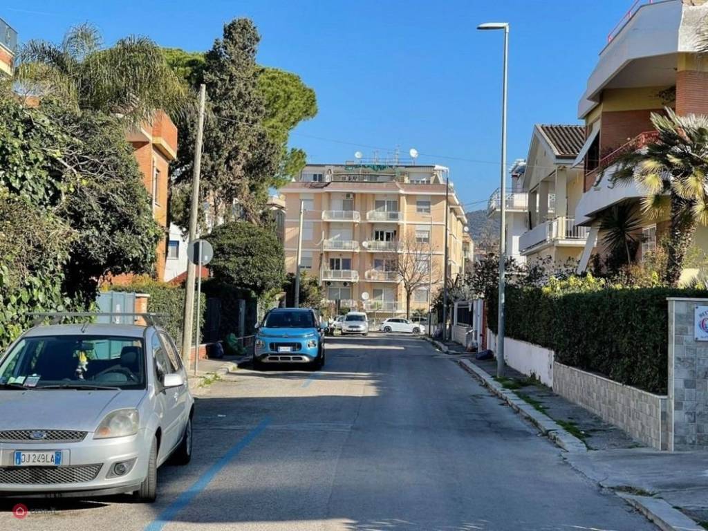immagine annuncio 11 di 14