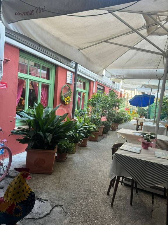 immagine annuncio 3 di 6