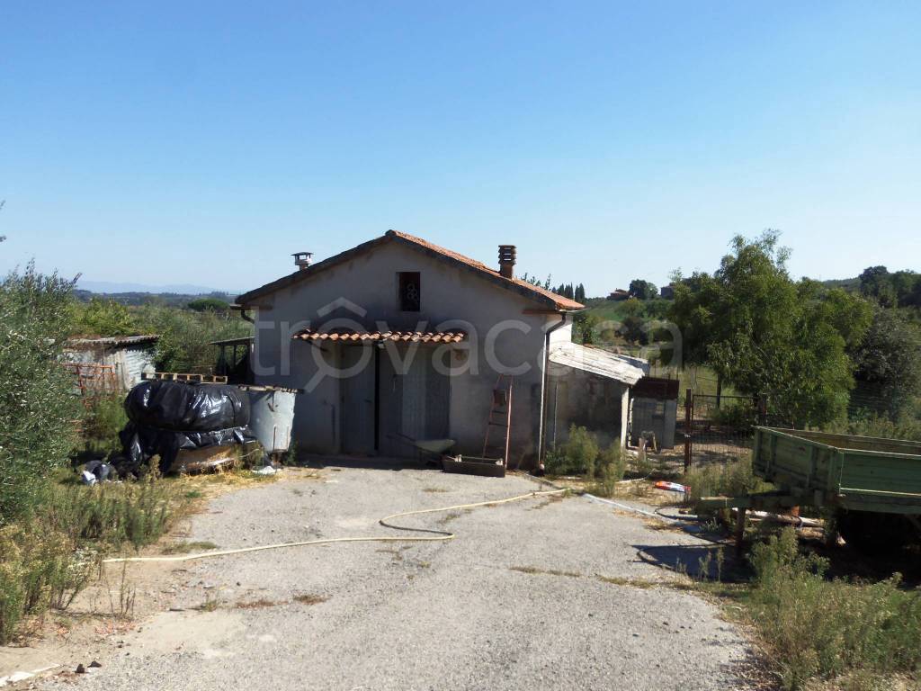 immagine annuncio 3 di 4