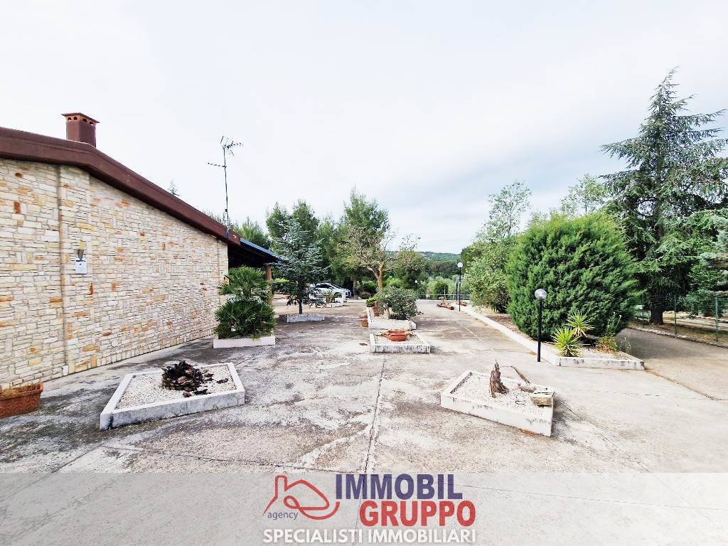 immagine annuncio 6 di 15