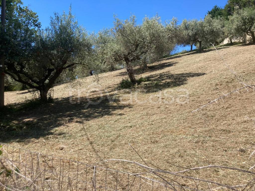 immagine annuncio 5 di 9